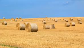 Agritourism