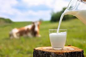 Dairy Milk (1L)